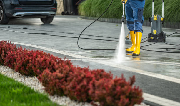 Best Driveway Pressure Washing  in Waterloo, NE